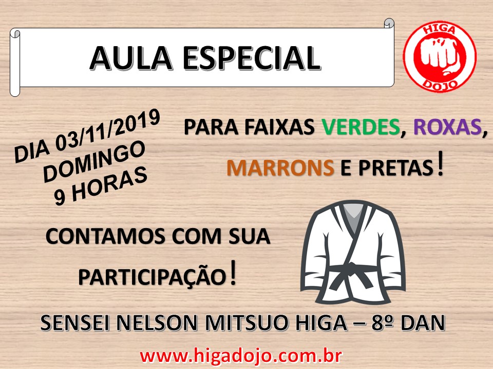 AULA ESPECIAL