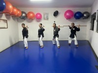 TREINO DE KOBUDO NA ASSOCIAÇÃO HIGA DOJO COM O SENSEI JORGE YOSHIMURA DEIXA MARCAS MEMORÁVEIS